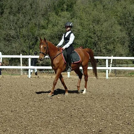 Assisivm Antica Dimora Ad 3* Asís