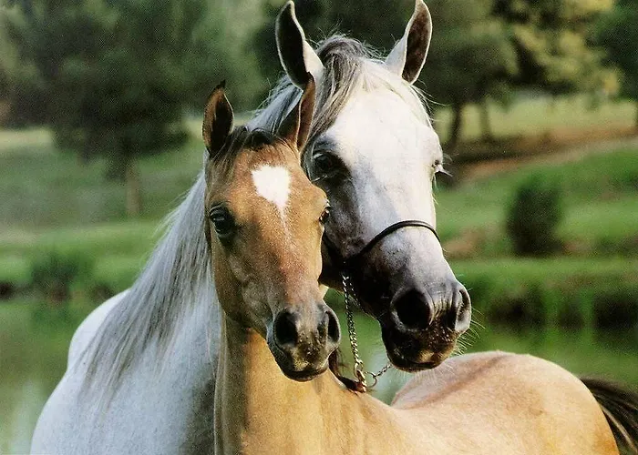 Assisivm Antica Dimora Ad