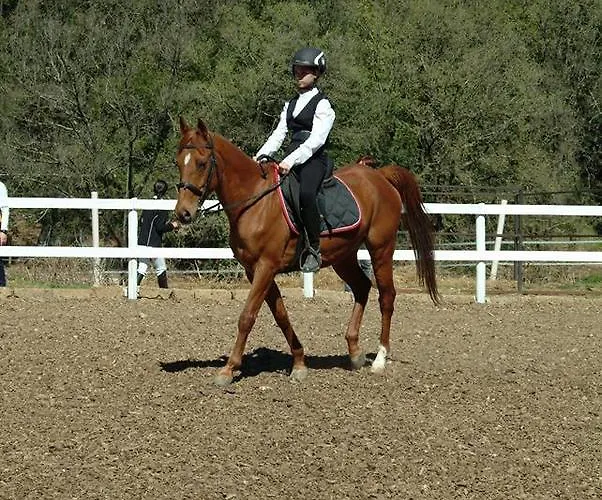 Assisivm Antica Dimora Ad 3* Assisi