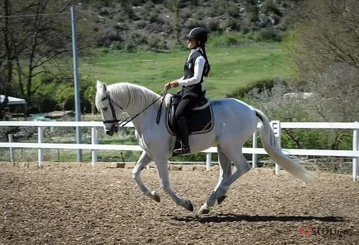 Hotel Assisivm Antica Dimora Ad 3*